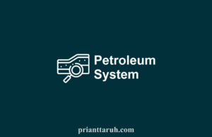 Petroleum System