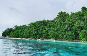 Pulau Sara